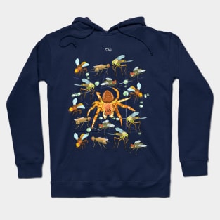 Web of flies and spider Hoodie